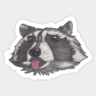 Silly Little Baby Racoon Sticker